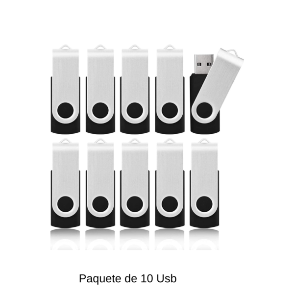 Memoria Usb 2GB Paquete de 10 Unidades